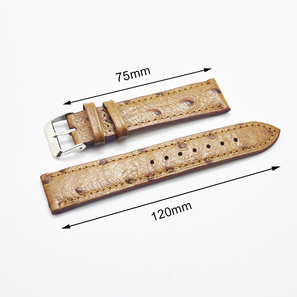 Handmade Ostrich Pattern Leath - Curved Spring Bar review and price